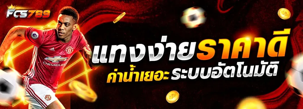 แทงง่าย ราคาดี BY fcs789